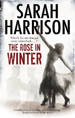 Rose in Winter