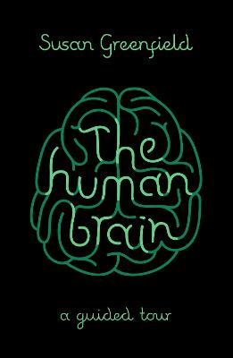 Human Brain: A Guided Tour
