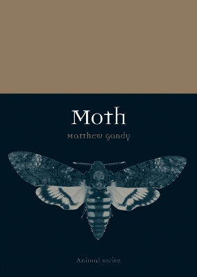 Moth