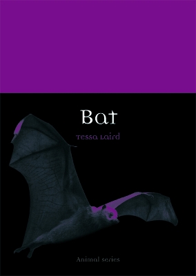 Bat