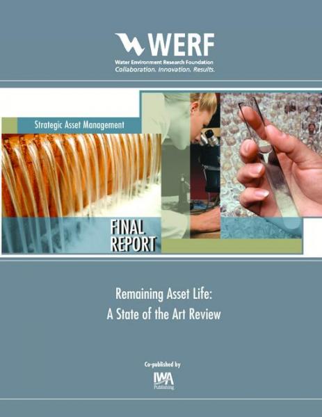 Remaining Asset Life: A State of the Art Review