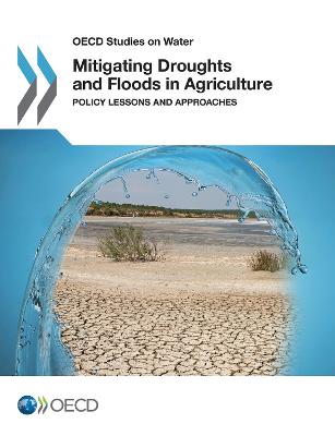 Mitigating Droughts and Floods in Agriculture: Policy Lessons and Approaches
