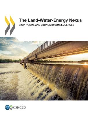 Land-Water-Energy Nexus: Biophysical and Economic Consequences