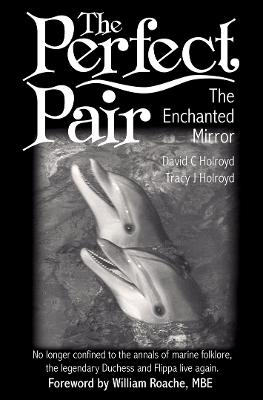 Perfect Pair: The Enchanted Mirror