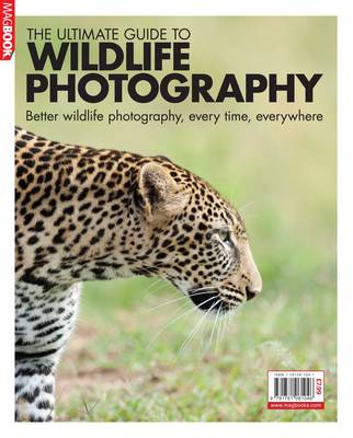 Ultimate Guide to Wildlife Photography