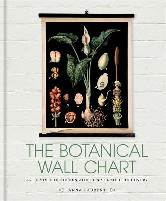 Botanical Wall Chart: Art from the golden age of scientific discovery