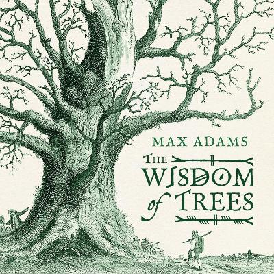 Wisdom of Trees: A Miscellany