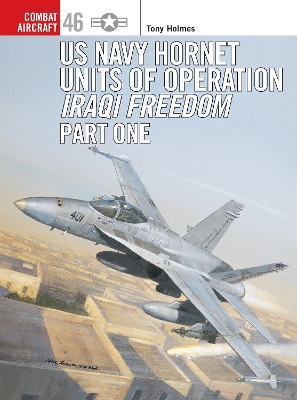 US Navy Hornet Units of Operation Iraqi Freedom (Part One)