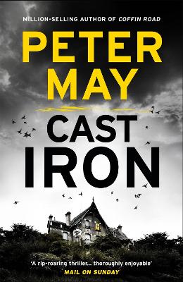 Cast Iron: The red-hot penultimate case of the Enzo series (The Enzo Files Book 6)