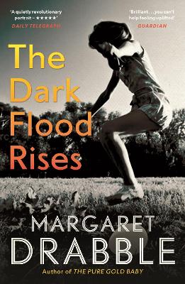 Dark Flood Rises Main