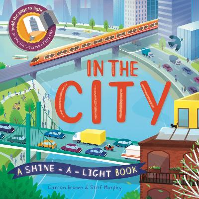 In The City: A shine-a-light book