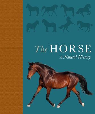 Horse: A natural history