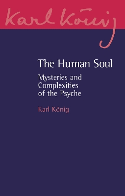 Human Soul: Mysteries and Complexities of the Psyche 3rd Revised edition