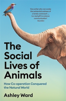 Social Lives of Animals: How Co-operation Conquered the Natural World