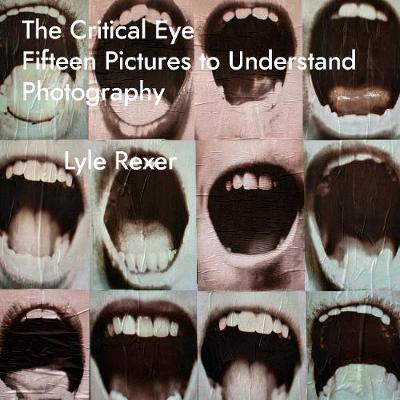 Critical Eye: Fifteen Pictures to Understand Photography