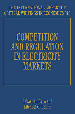 Competition and Regulation in Electricity Markets