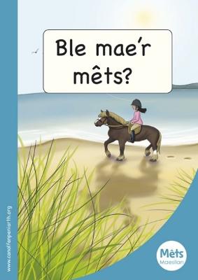 Mêts Maesllan: Ble Mae'r Mêts?