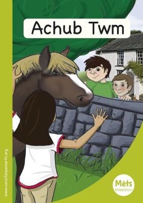 Mêts Maesllan: Achub Twm