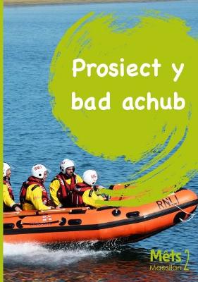 Mêts Maesllan 2 - Prosiect y Bad Achub