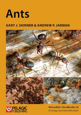 Ants 2nd edition