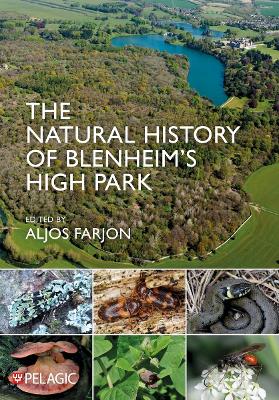 Natural History of Blenheim's High Park
