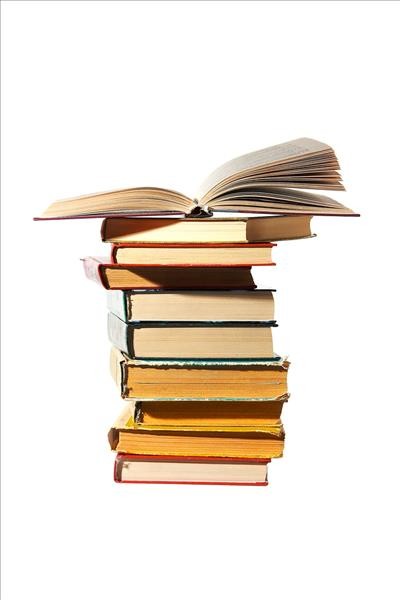 Cohabitation: Law, Practice and Precedents 8th edition