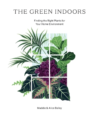 Green Indoors: Finding the Right Plants for Your Home Environment