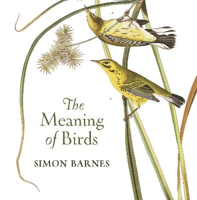 Meaning of Birds