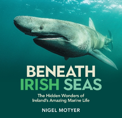 Beneath Irish Seas: The Hidden Wonders of Irelands Amazing Marine Life