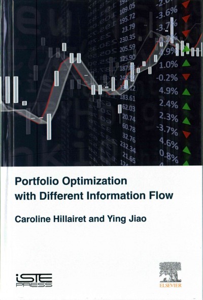 Portfolio Optimization with Different Information Flow