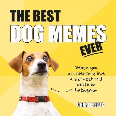 Best Dog Memes Ever: The Funniest Relatable Memes as Told by Dogs