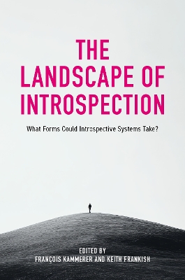 Landscape of Introspection: What Forms Could Introspective Systems Take?
