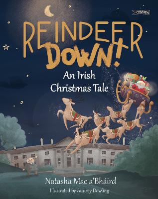 Reindeer Down!: An Irish Christmas Tale New edition