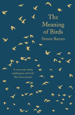 Meaning of Birds