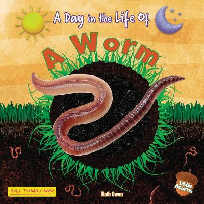 Worm