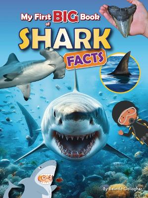 My First Big Book of Shark Facts