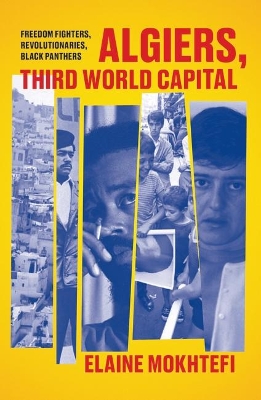 Algiers, Third World Capital: Freedom Fighters, Revolutionaries, Black Panthers