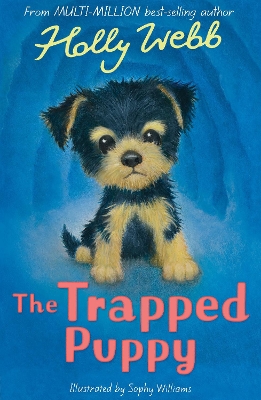 Trapped Puppy