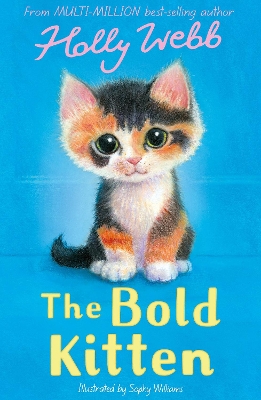 Bold Kitten