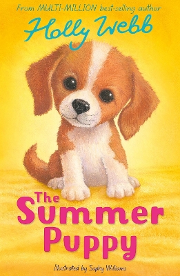 Summer Puppy