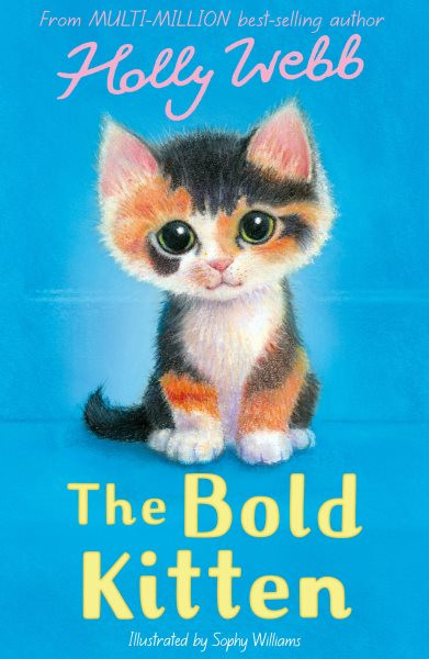 Bold Kitten