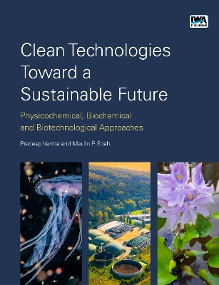 Clean Technologies Toward a Sustainable Future: Physicochemical, Biochemical and Biotechnological Approaches