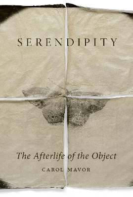 Serendipity: The Afterlife of the Object