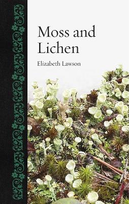 Moss and Lichen