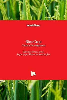 Rice Crop: Current Developments