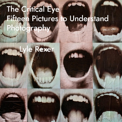 Critical Eye: Fifteen Pictures to Understand Photography