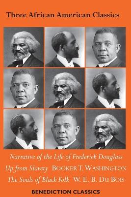 Three African American Classics: Narrative of the Life of Frederick Douglass, Up from Slavery: An  Autobiography, The Souls of Black Folk