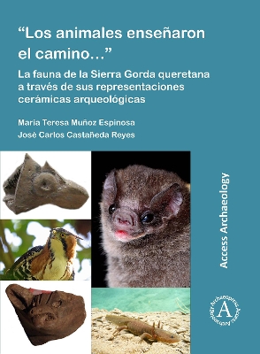 Los animales enseñaron el camino: La fauna de la Sierra Gorda queretana a  través de sus representaciones cerámicas arqueológicas