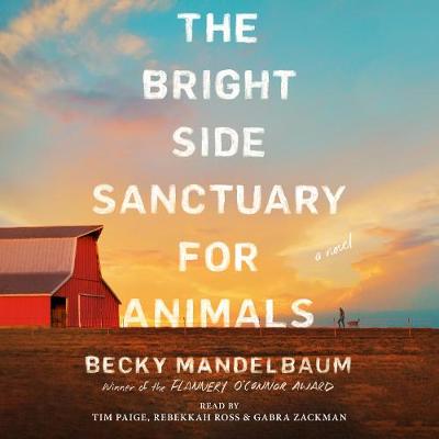 Bright Side Sanctuary for Animals: A Novel