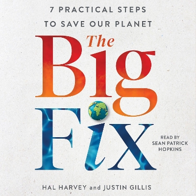 Big Fix: Seven Practical Steps to Save our Planet